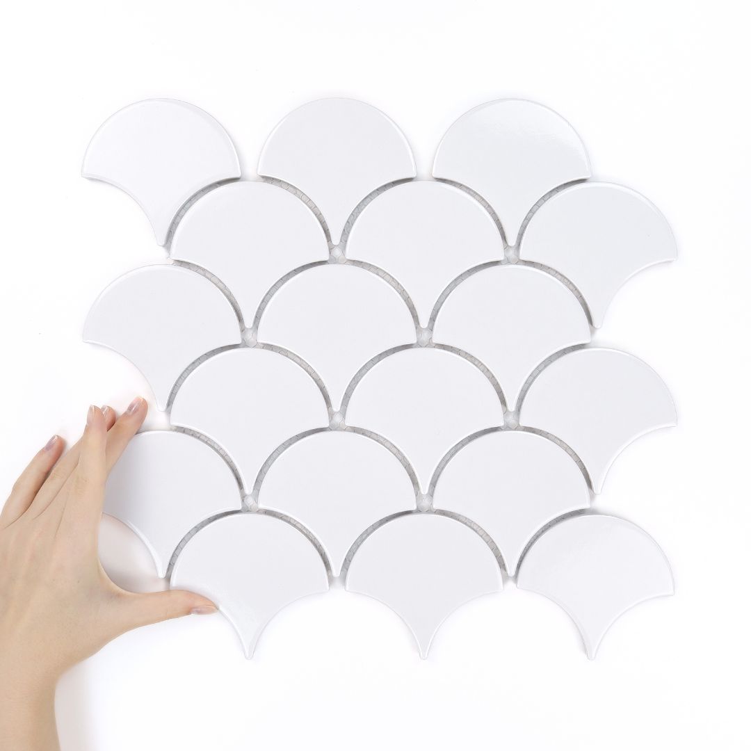 1flabellum-white-polysk